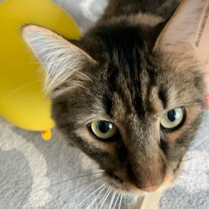 Meet your Posher, Gloria